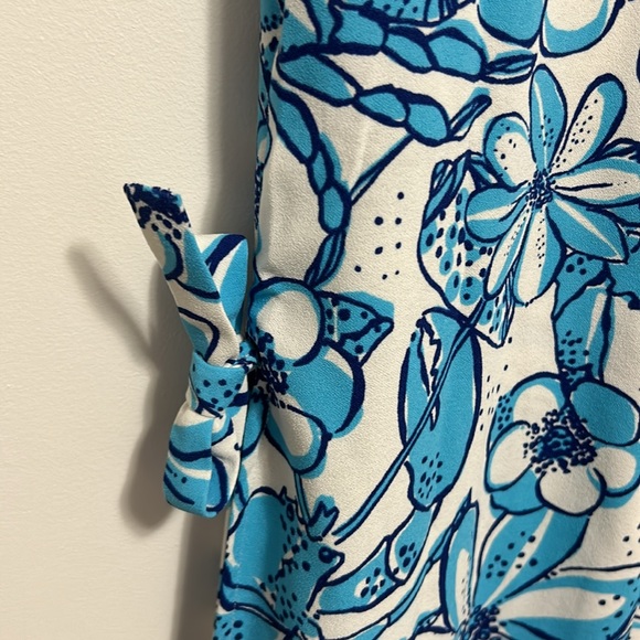 Lilly Pulitzer maxi dress - Picture 5 of 5